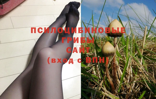 трава Алексин