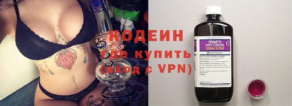 шишки Новоузенск