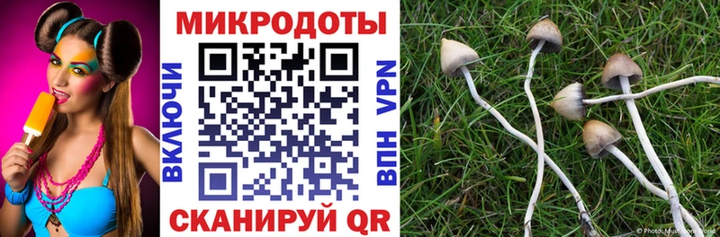 Галлюциногенные грибы Psilocybine cubensis Перевоз